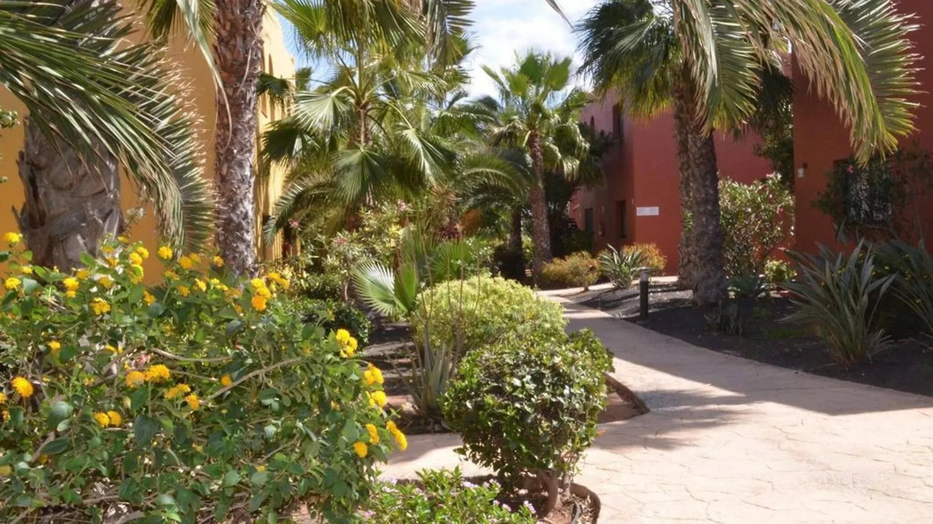Tamarindo Piscinas De Agua Salada Fibra Optica Apartment Corralejo 0*,